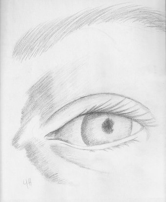 Pointers in Drawing the Eye (Diagram)